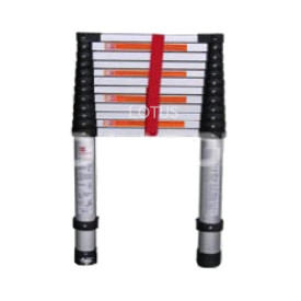 Telescopic Ladder