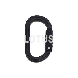 Carabiner Oval